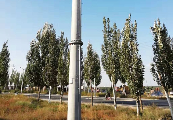 大彎矩混凝土電桿